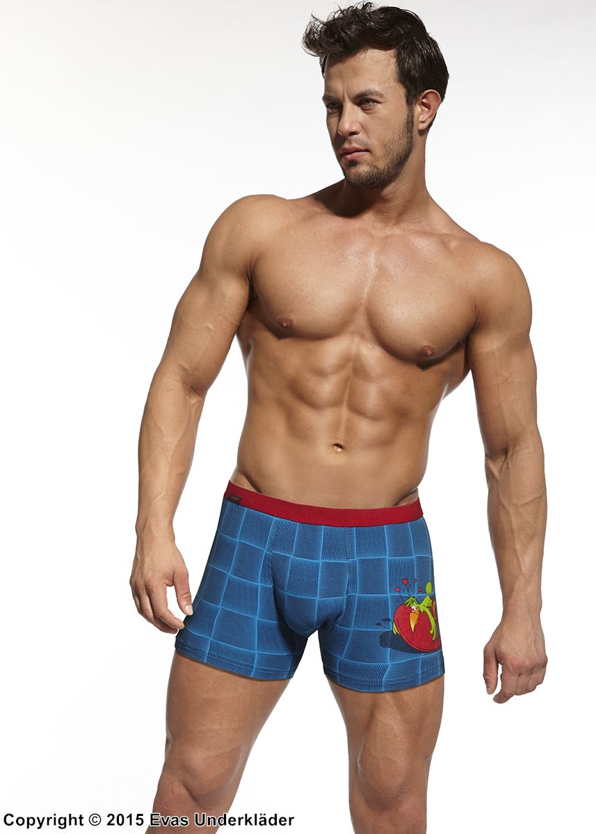 Shorts / Boxershorts